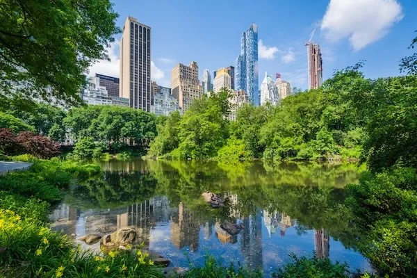 Central Park - The Pond