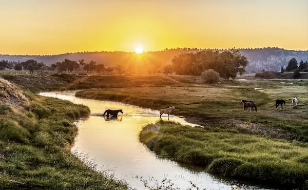 Wyoming - Belle Fourche River