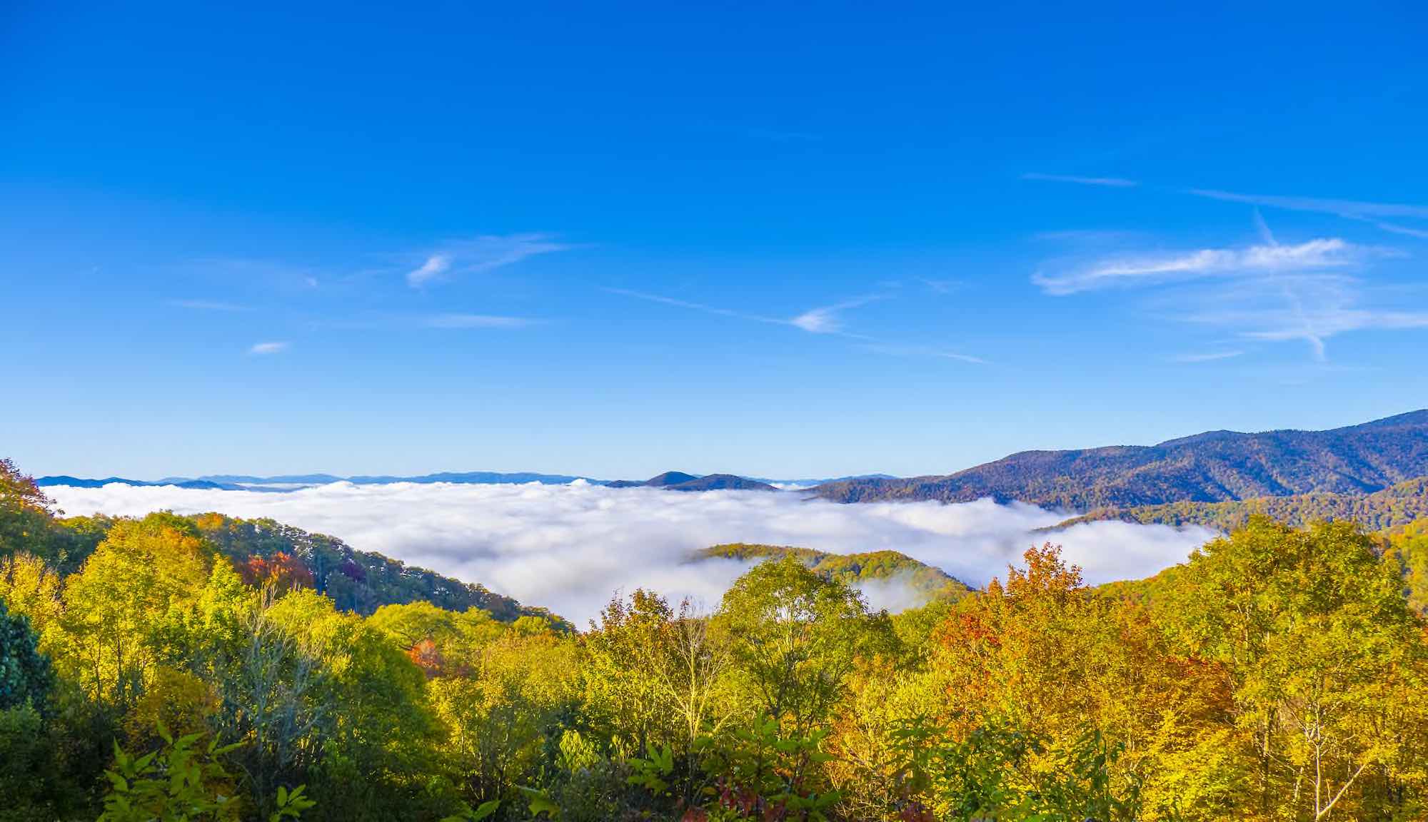 Great Smoky Mountains Farm