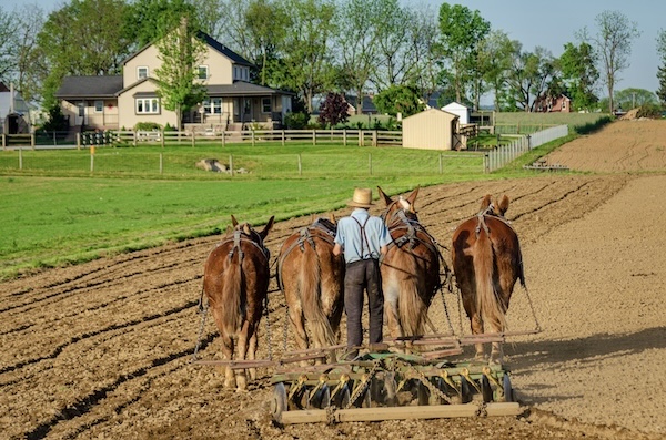 Amish