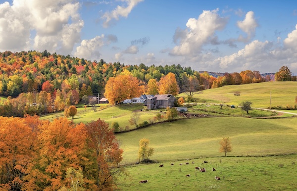 Woodstock Umgebung