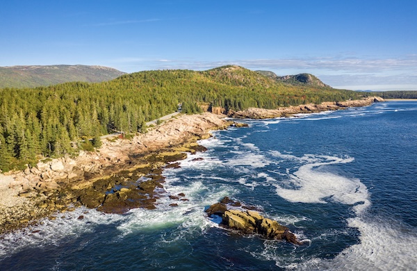 Felsküste mit Nadelwald und Brandung im Acadia Nationalpark