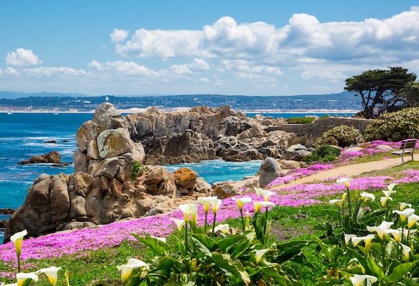 Monterey