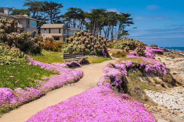 Monterey