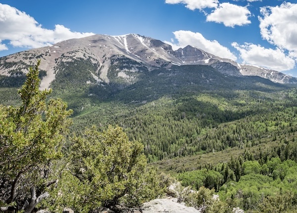 Bewaldetes Tal vor einem Berg mit Schneefeldern im Great Basin Nationalpark