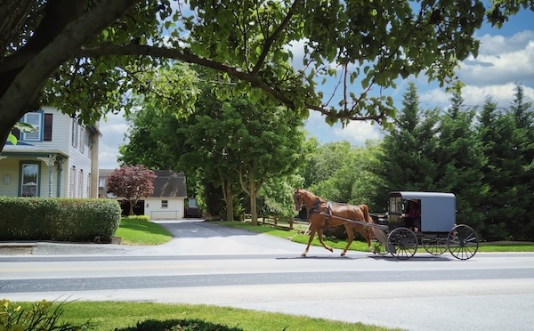 Amish