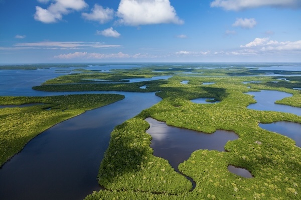 Everglades Nationalpark