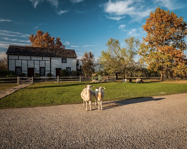 Fredericksburg