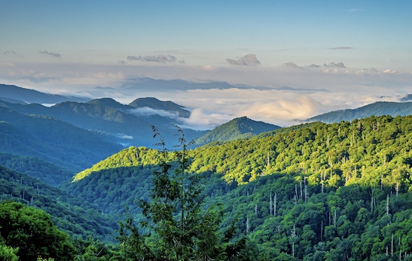 Bewaldete Bergrücken im Great Smoky Mountains Nationalpark, in den Tälern liegen Wolkenbänke