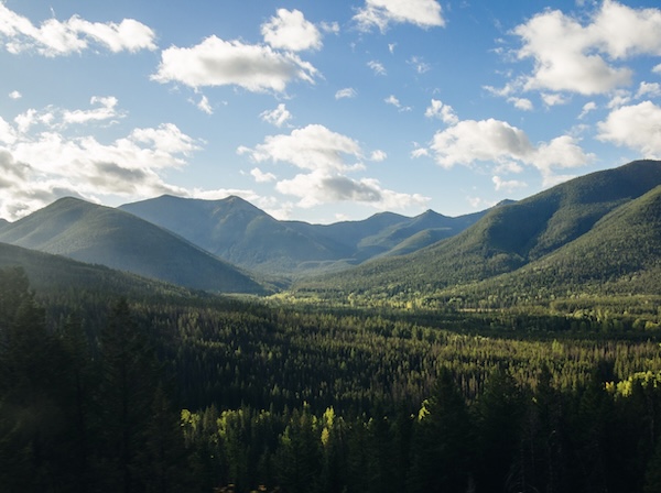 Lewis and Clark National Forest