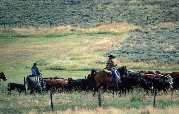 Montana