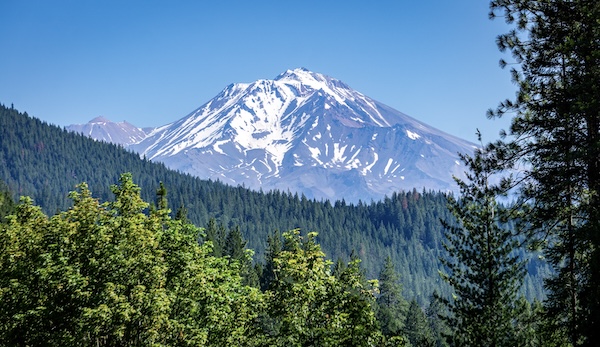 Mt. Shasta