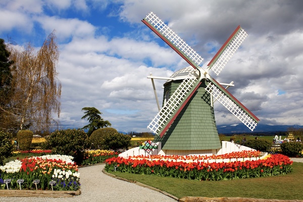 Mount Vernon