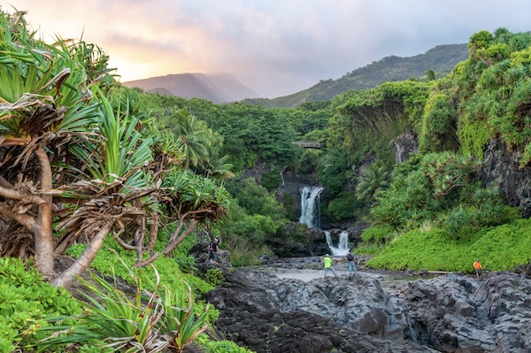 Wasserfälle und Felsbecken im bewaldeten Ohe'o Gulch auf Maui, im Vordergrund Lavagestein und Pandanusbäume