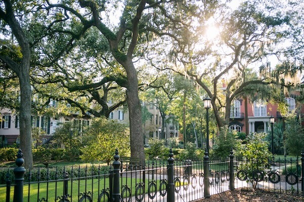Savannah