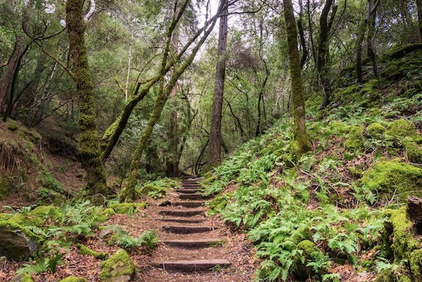 Sugarloaf Ridge State Park