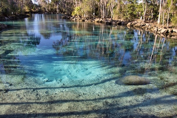 Crystal River