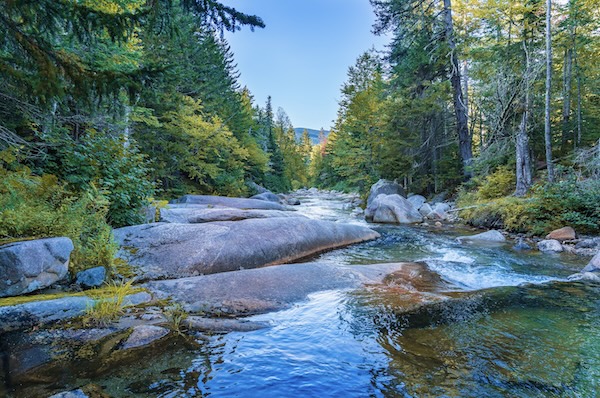 White Mountain National Forest