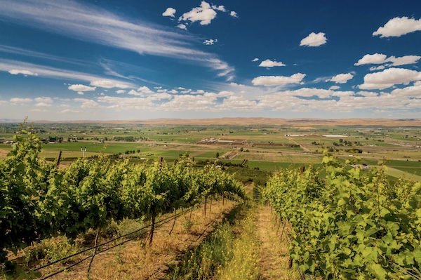 Yakima Valley