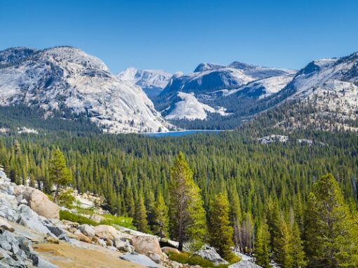Yosemite Copyright