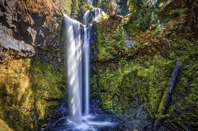 Falls Creek im Gifford Pinchot National Forest