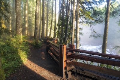 Lower Lewis River Falls im Gifford Pinchot National Forest