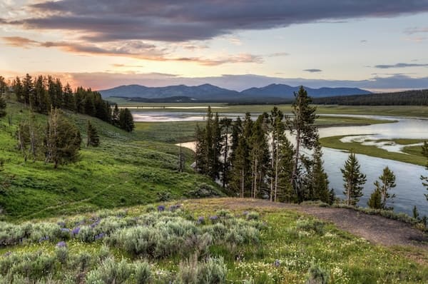 Hayden Valley