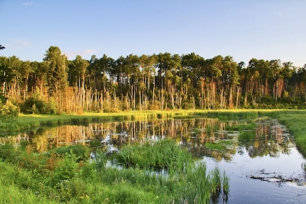 Prince Albert Nationalpark