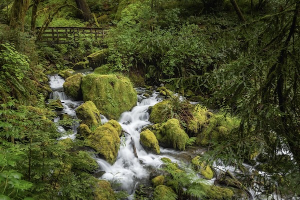 Siskiyou National Forest
