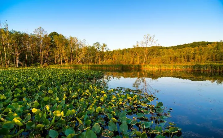 Cuyahoga Valley NP “Beaver Marsh”