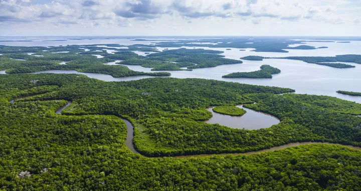 Everglades Nationalpark