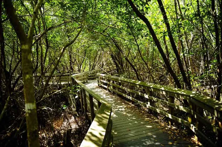 Everglades Nationalpark