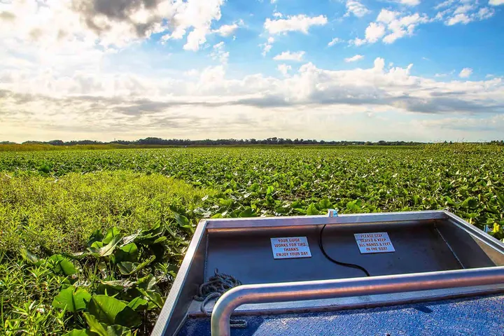 Everglades Nationalpark