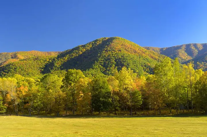 Great Smoky Mountains