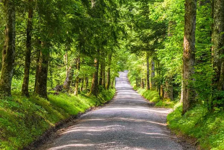 Great Smoky Mountains Nationalpark