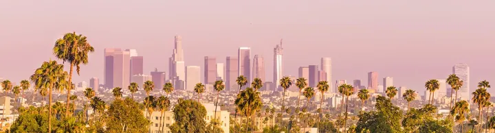 Downtown Los Angeles and Palm Trees at Sunset