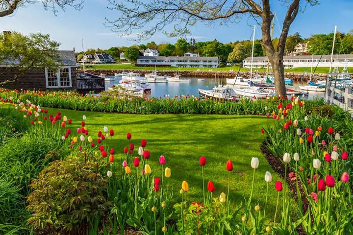 Ogunquit