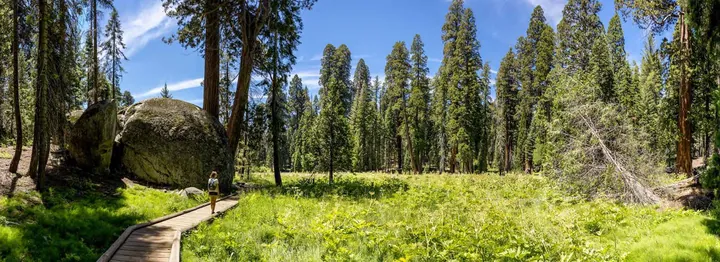 Sequoia Nationalpark