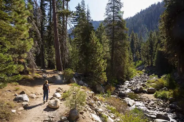 Sequoia Nationalpark "Tokopah Falls Trail
