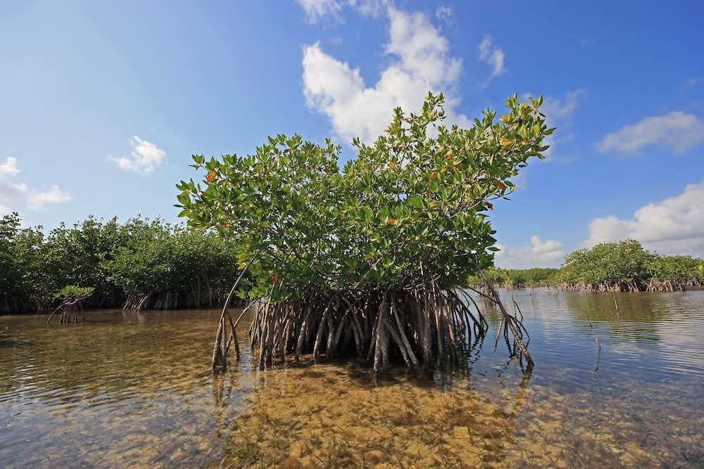 Biscayne Nationalpark 