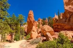 Bryce Canyon by Simon Dannhauer - Fotolia.com