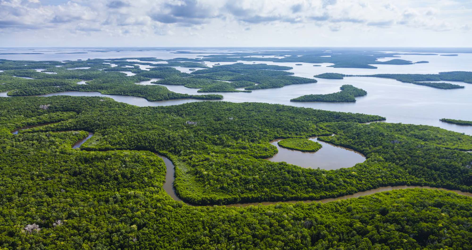 Everglades Nationalpark - Copyright © AdobeStock 249283274 JUAN CARLOS MUNOZ