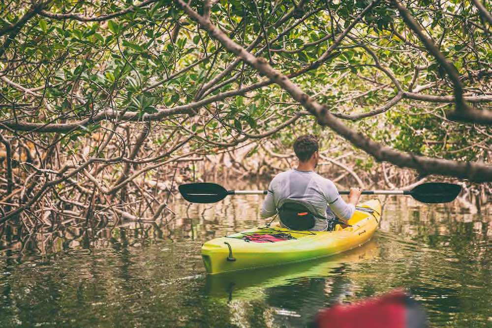 Everglades Nationalpark - Copyright © AdobeStock 251265431 Maridav