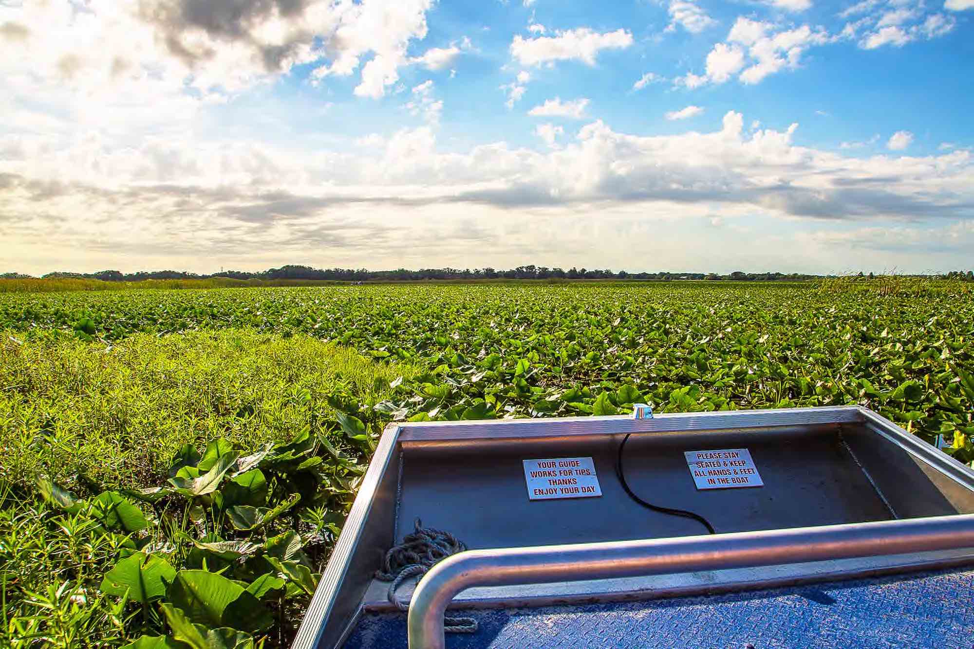 Everglades Nationalpark - Copyright © AdobeStock 124287334 ingusk