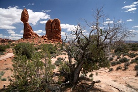 Arches NP by air - Fotolia.com