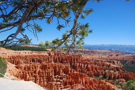 Bryce Canyon Copyright © antocar - Fotolia.com