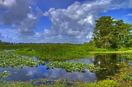Everglades National Park by  John Anderson - Fotolia.com