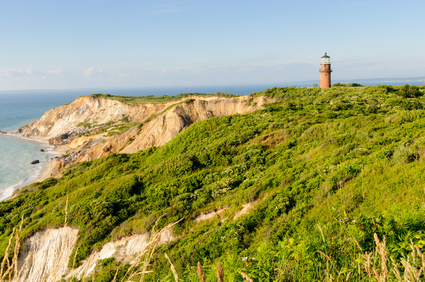 Marthas Vineyard by cornfield - Fotolia.com