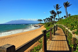 Maui Michael Brake - Fotolia.com - Fotolia.com