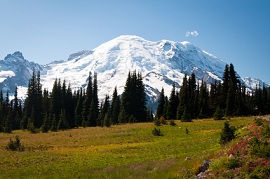 Mount Rainier Nationalpark by UnGePhoto FT - Fotolia.com
